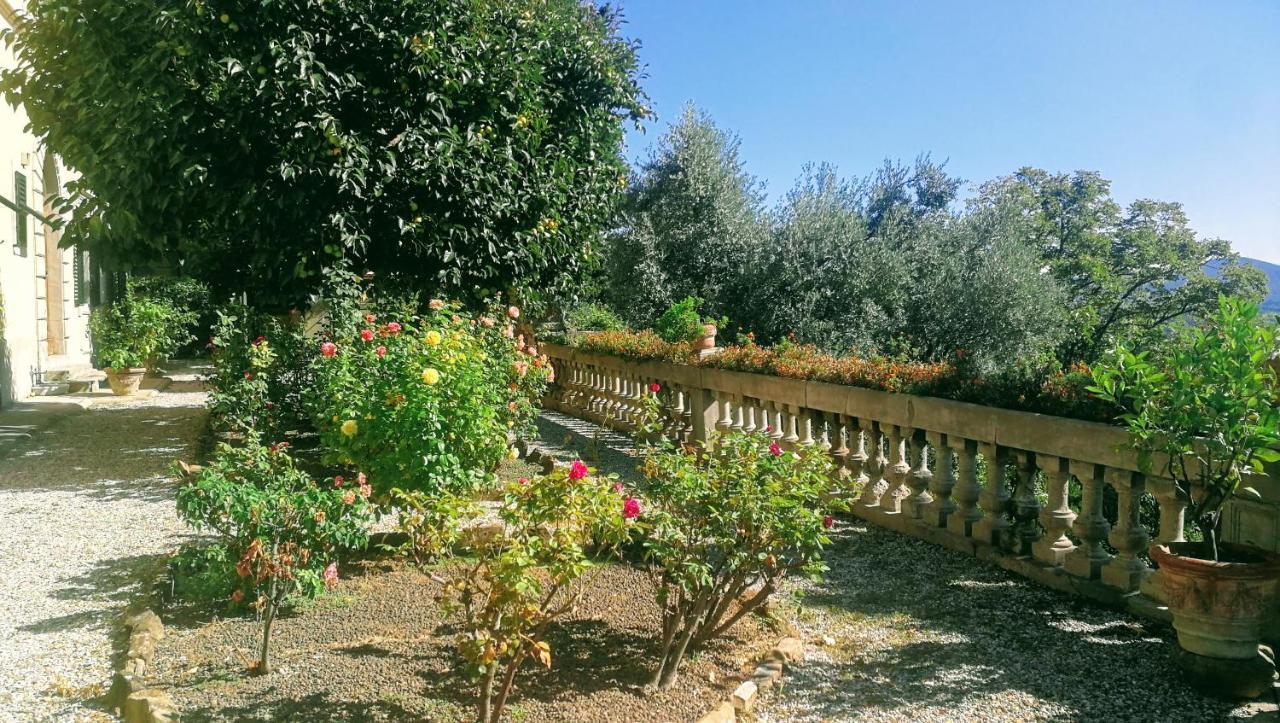 Villa La Piccioncina Firenze Exteriör bild